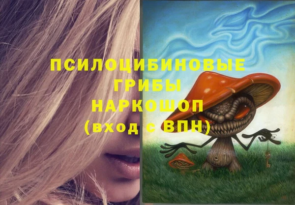 индика Нефтегорск