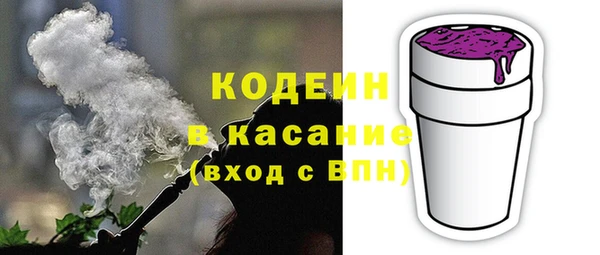 индика Нефтегорск