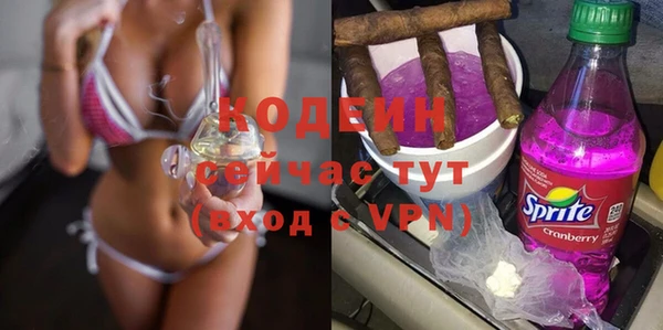 индика Нефтегорск