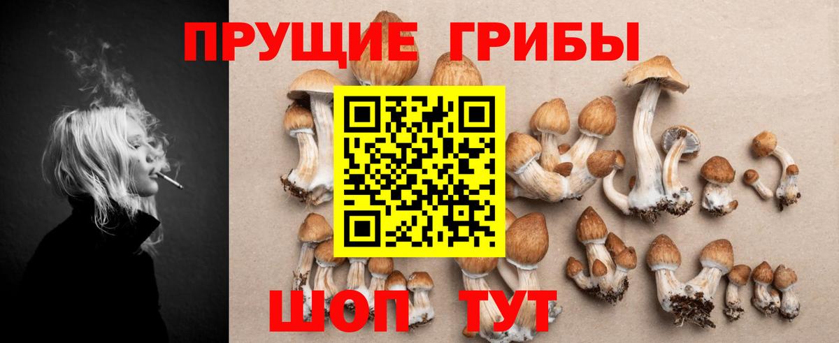 Псилоцибиновые грибы GOLDEN TEACHER Волжский